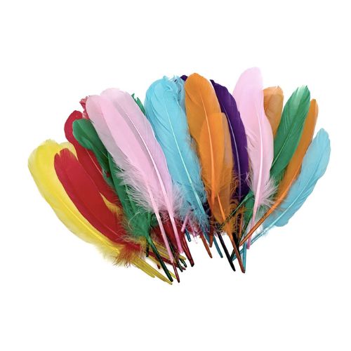 DALA MIXED FEATHERS 6CM
