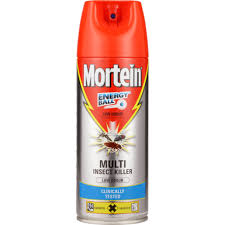 Mortein Insecticide Spray 300ml
