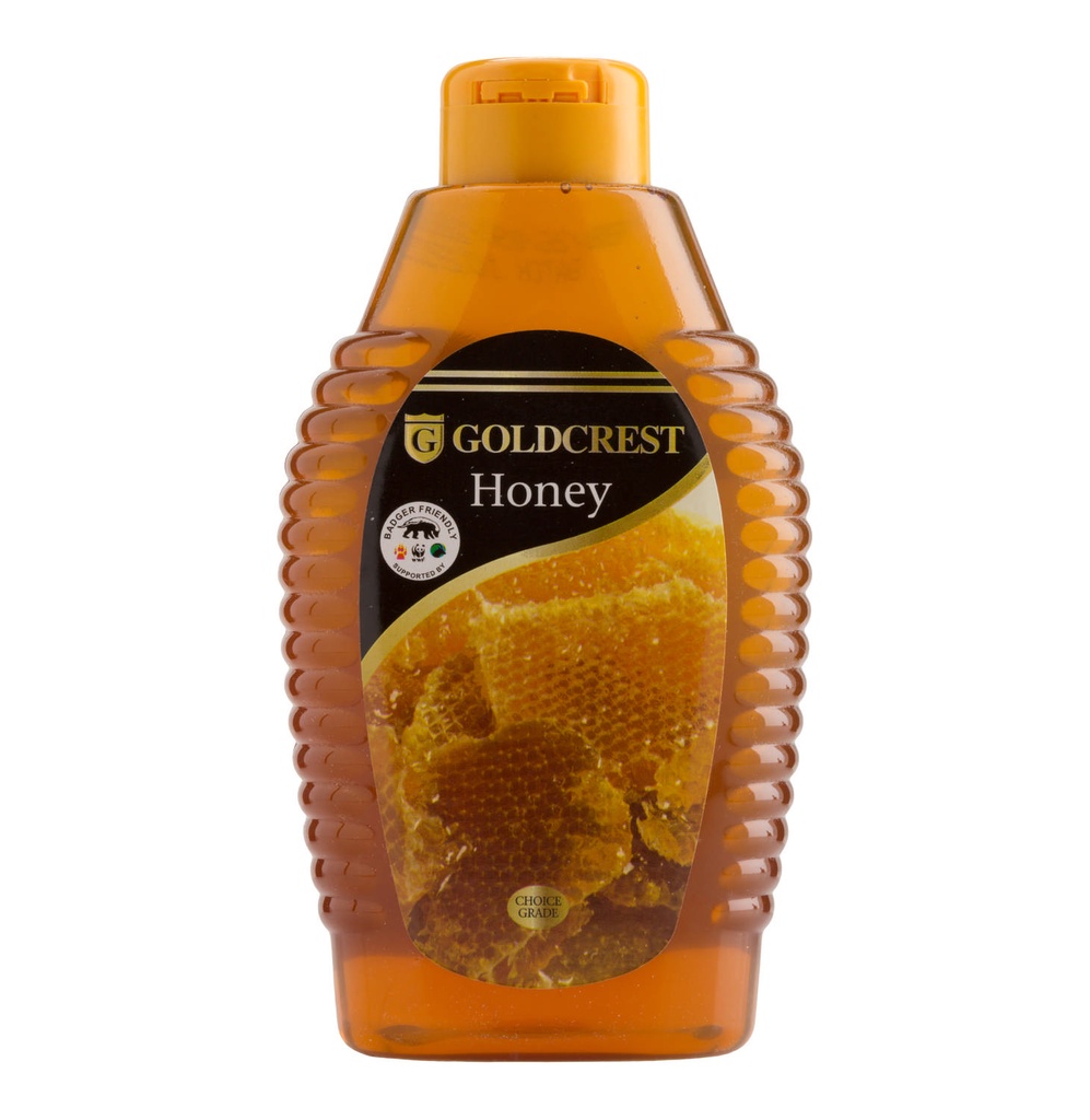Honey Squeeze Bottle 500g