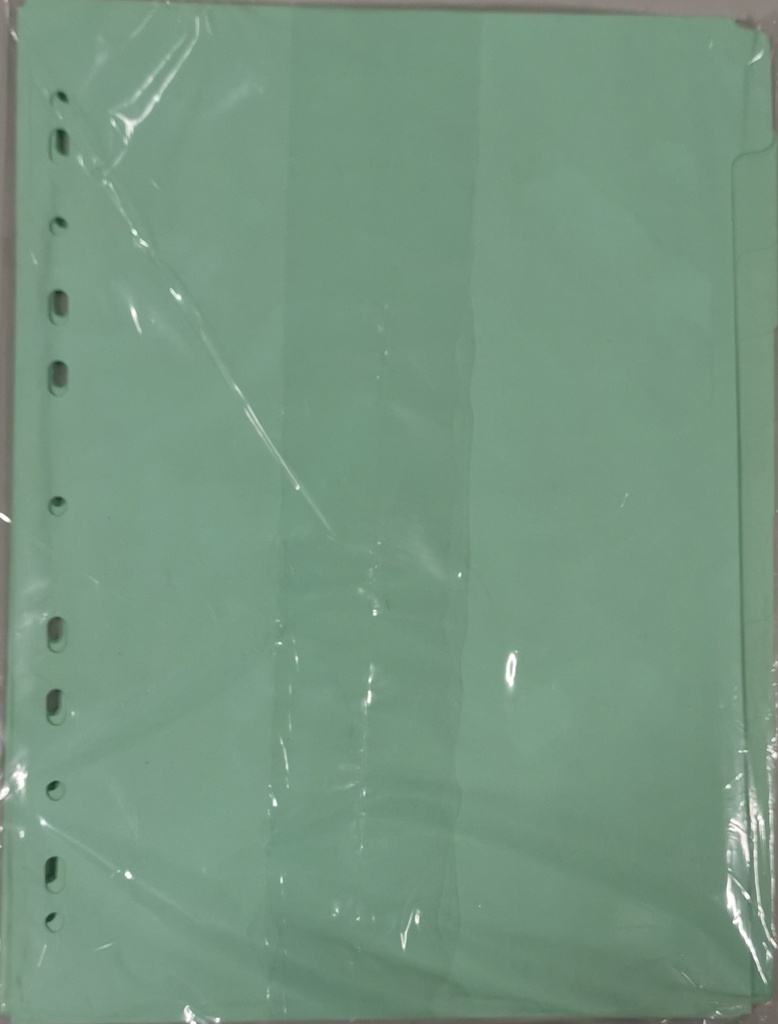 BOARD DIVIDER 10POS GREEN