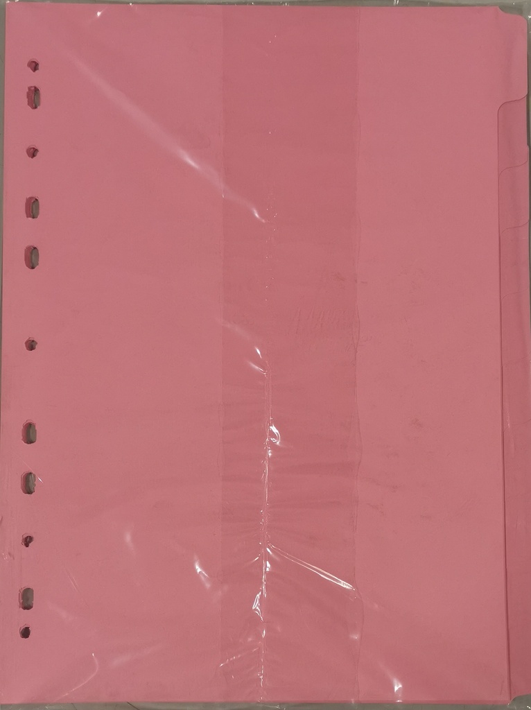 BOARD DIVIDER 10POS PINK