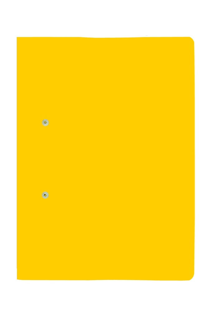 FILES 2001 ACCESSIBLE A4 FILE YELLOW