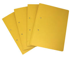 FILES 2001 ACCESSIBLE A4 FILE BUFF