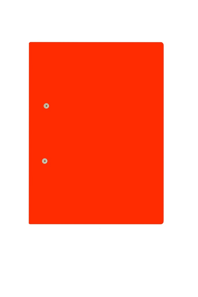 FILES 2001 ACCESSIBLE A4 FILE ORANGE