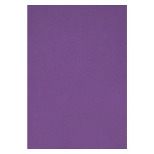 [BRD160GA4BPUR100] PROJECT BRD A4 160G BRIGHT PURPLE (100)
