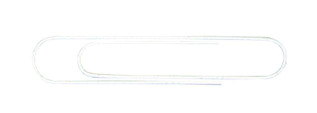 GEM CLIPS 50MM SILVER