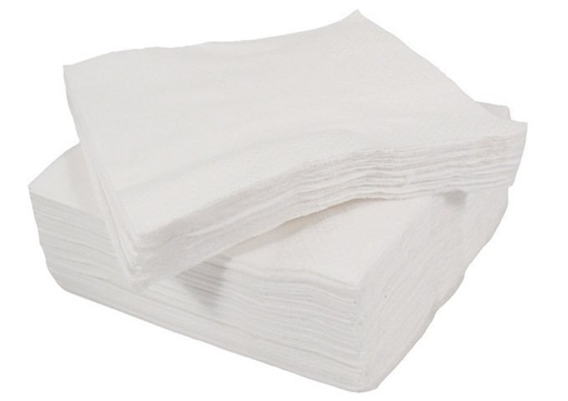[SERV2PLY] Serviettes White 2 Ply 1000s 