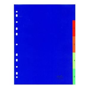 [DIVPVC131PRIN] PVC 1-31 DIVIDER PRINTED