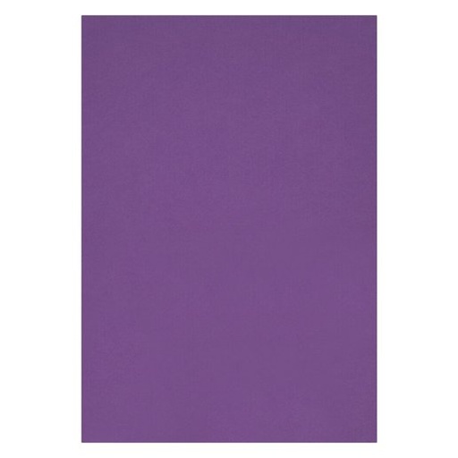[BRD160GA4BPUR100] PROJECT BRD A4 160G BRIGHT PURPLE (100)